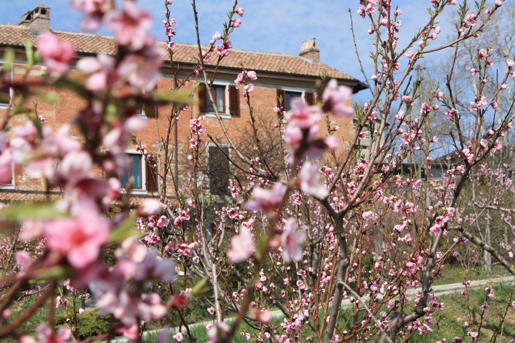 B&B Di Spineto Villaromagnano Eksteriør bilde
