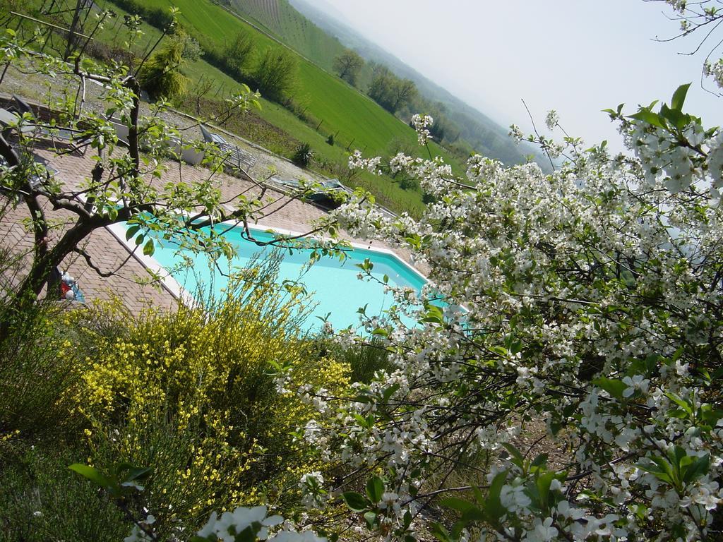 B&B Di Spineto Villaromagnano Eksteriør bilde
